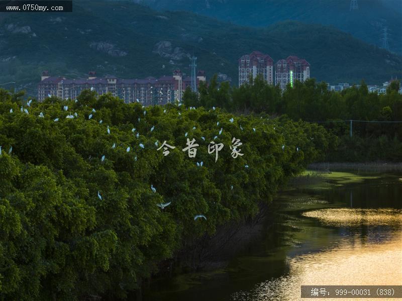 银湖湾_旅游景点,自然