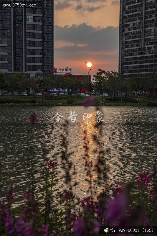 梅江生态园_人居环境,城市景色