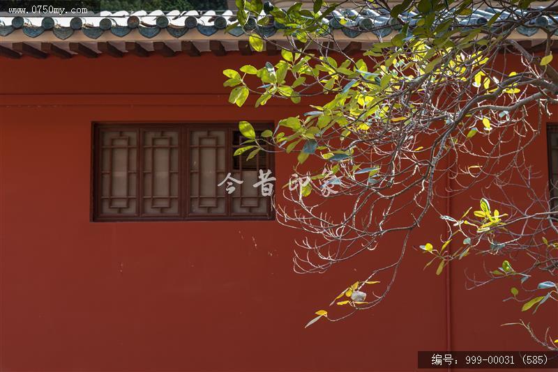 新会学宫_地标,城市景色