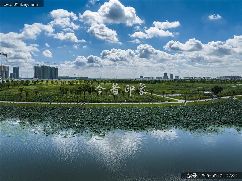 梅江生态园_人居环境,城市景色