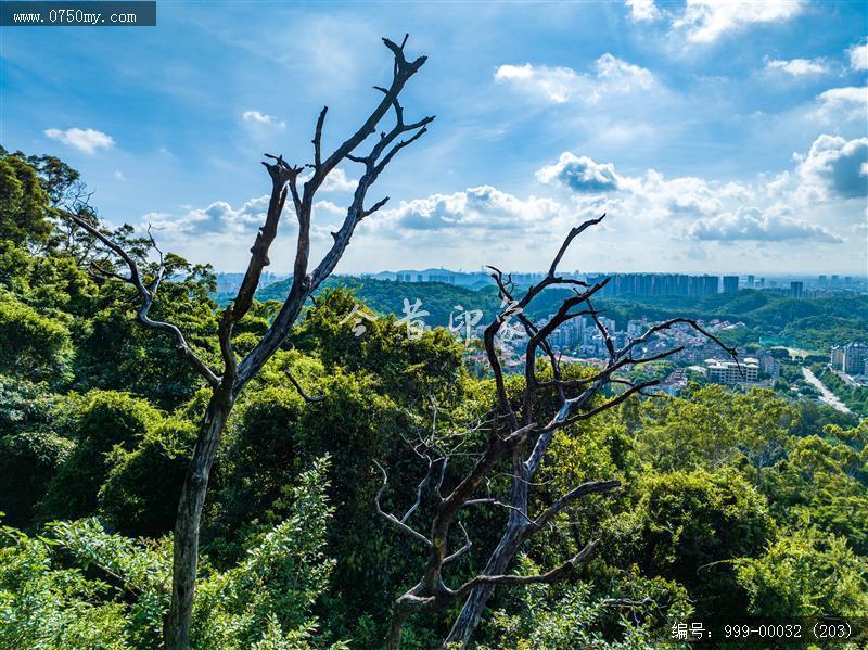 圭峰山_航拍,旅游景点,自然景观