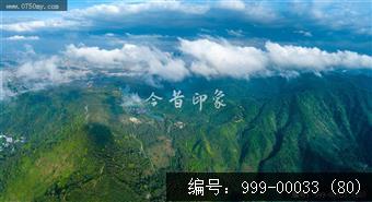 绿护萍