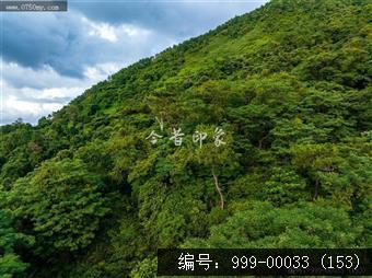 观音寺
