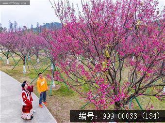 绿护萍