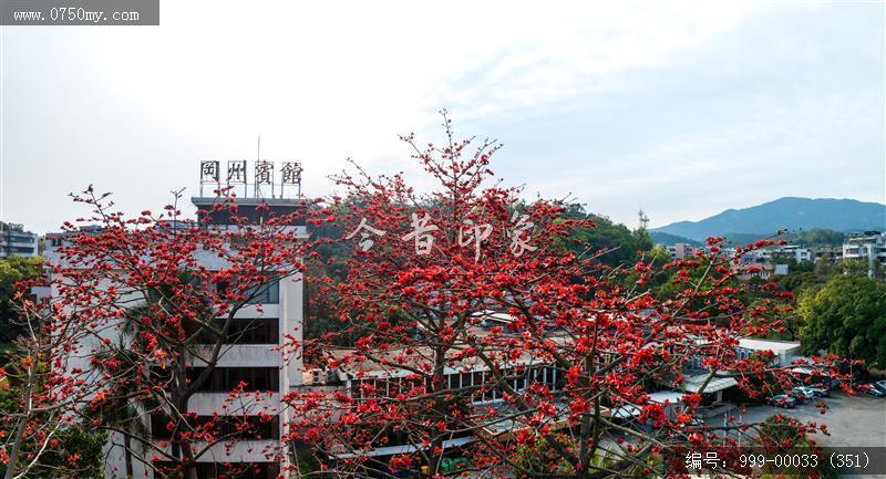 冈州宾馆_航拍,城市景色
