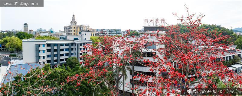 冈州宾馆_航拍,城市景色