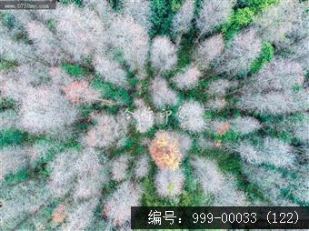 绿护萍