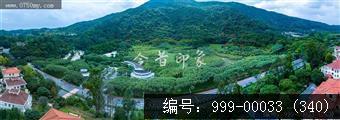 凤凰花