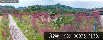 绿护萍