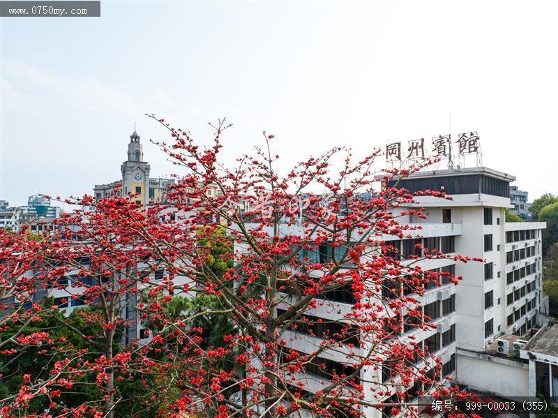 冈州宾馆_航拍,城市景色