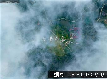 绿护萍