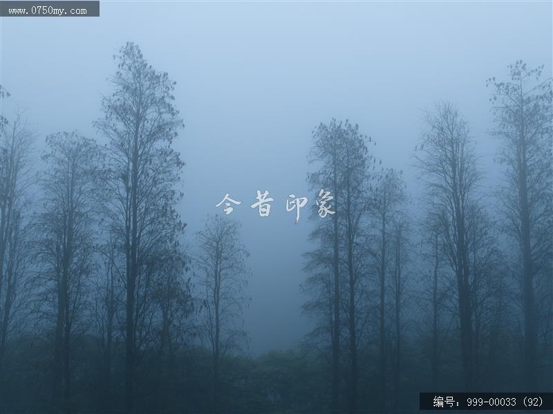 绿护萍_航拍,旅游景点