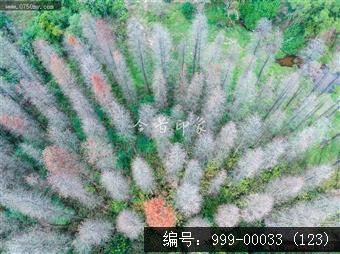绿护萍