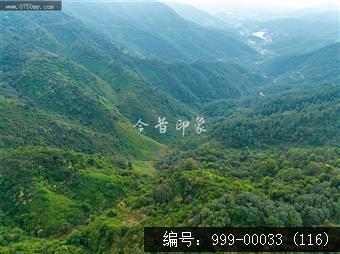 绿护萍