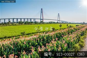 三江沙仔岛