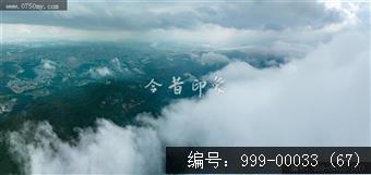 绿护萍