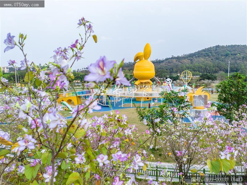 滑草场儿童公园_航拍,城市建设