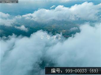 绿护萍