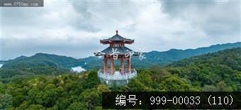 绿护萍