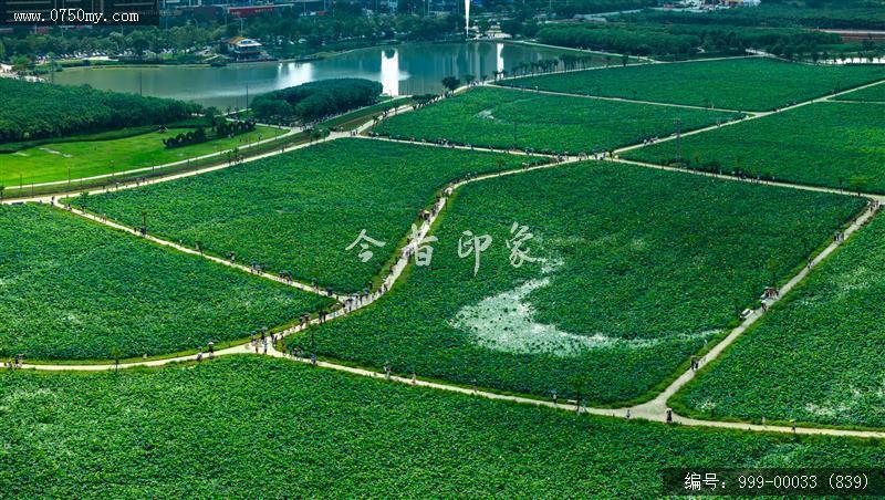 梅江生态园_航拍,人居环境
