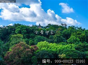 会城景色