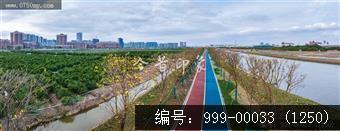 枢纽新城