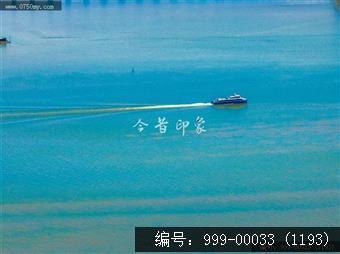 深中大桥