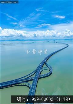 深中大桥