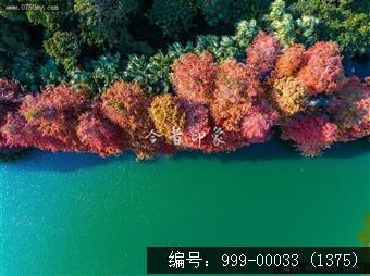 玉湖
