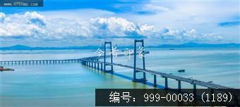 深中大桥
