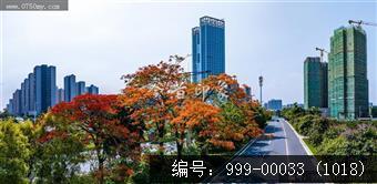 农商行总部