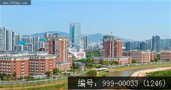 枢纽新城