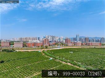 枢纽新城