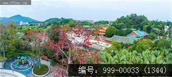 学宫