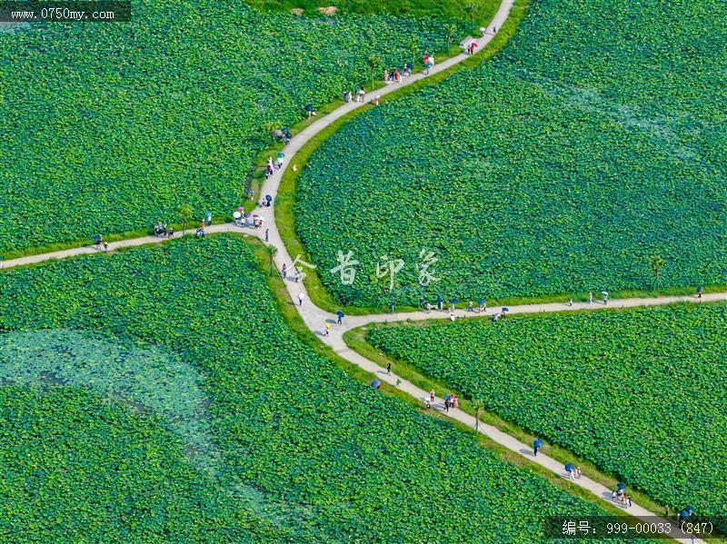 梅江生态园_航拍,人居环境