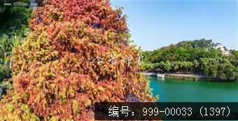 玉湖