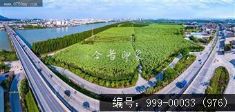 南坦葵林