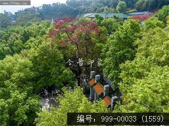 玉台寺