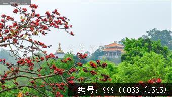 玉台寺