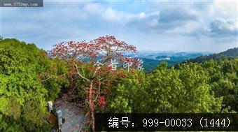 玉台寺