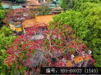 玉台寺