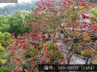 玉台寺