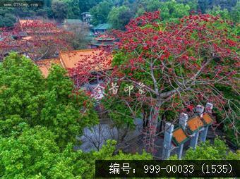 玉台寺