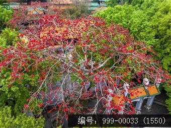 玉台寺