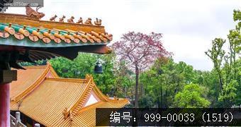 玉台寺