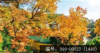 玉台寺