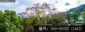 玉台寺
