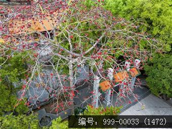 玉台寺