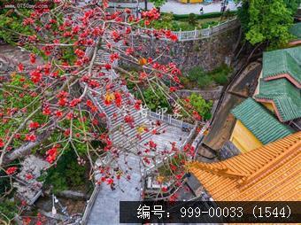 玉台寺