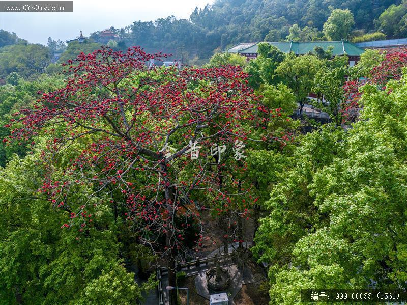 玉台寺_航拍